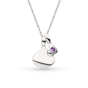Coast February Birthstone Tag Amethyst Necklace base image – The Birthstone Tag collection 